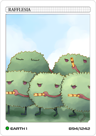 Carta Rafflesia