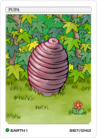 Carta Pupa